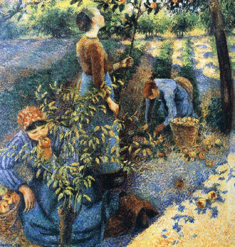 Camille Pissarro Apple picking